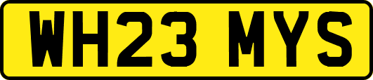 WH23MYS