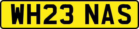 WH23NAS