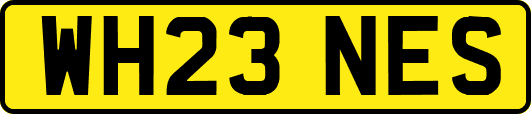 WH23NES