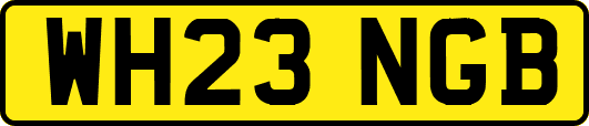 WH23NGB
