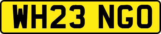 WH23NGO