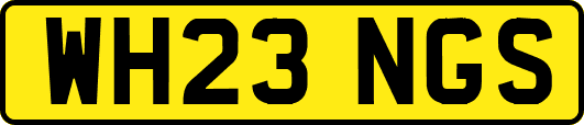 WH23NGS