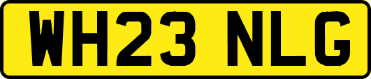 WH23NLG