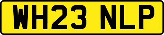 WH23NLP