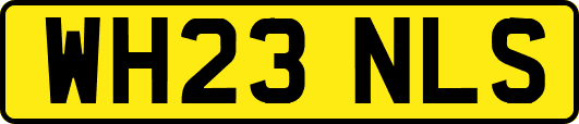 WH23NLS