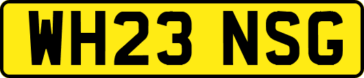 WH23NSG