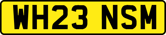 WH23NSM
