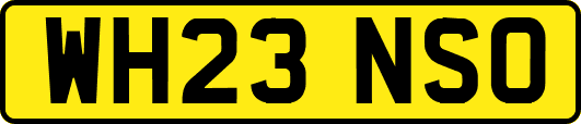 WH23NSO