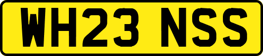 WH23NSS