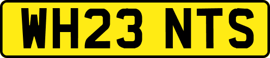 WH23NTS
