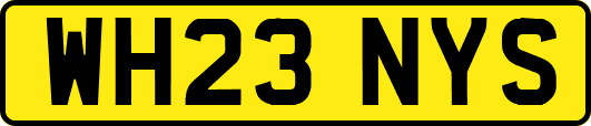 WH23NYS