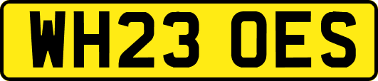 WH23OES