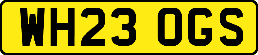 WH23OGS