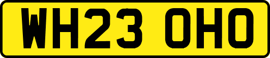 WH23OHO