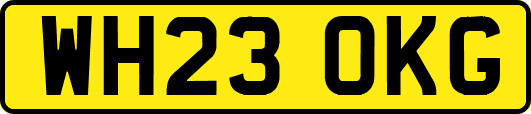 WH23OKG