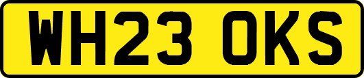 WH23OKS