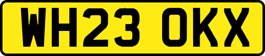 WH23OKX
