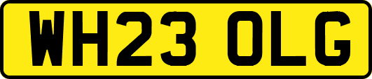 WH23OLG