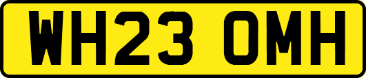 WH23OMH