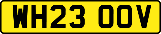 WH23OOV