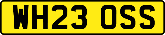 WH23OSS