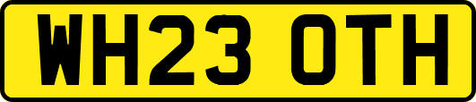 WH23OTH