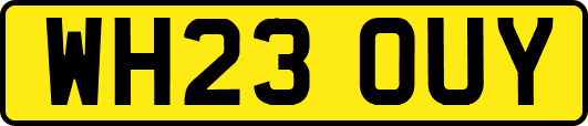 WH23OUY