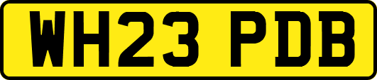 WH23PDB