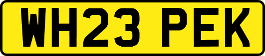 WH23PEK