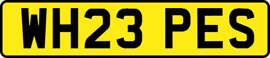 WH23PES