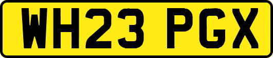 WH23PGX