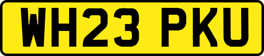 WH23PKU