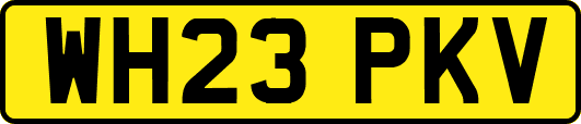 WH23PKV