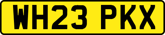 WH23PKX