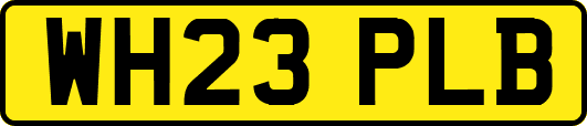 WH23PLB