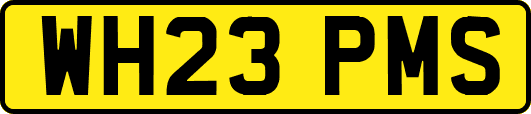 WH23PMS