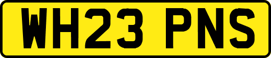 WH23PNS