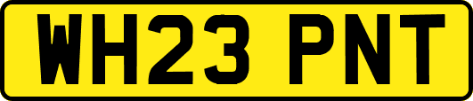 WH23PNT