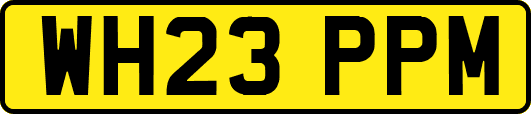 WH23PPM