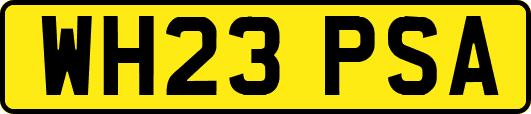 WH23PSA