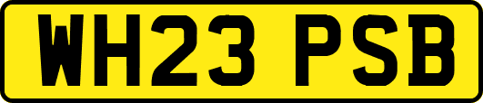 WH23PSB