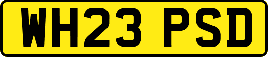 WH23PSD