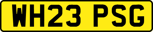 WH23PSG