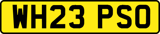 WH23PSO