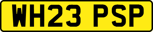 WH23PSP