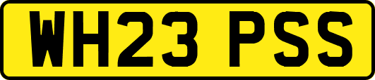 WH23PSS