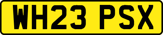 WH23PSX