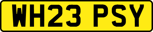 WH23PSY