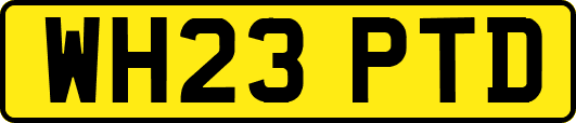WH23PTD