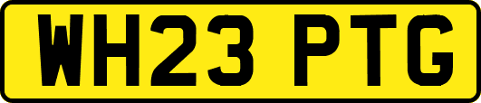 WH23PTG